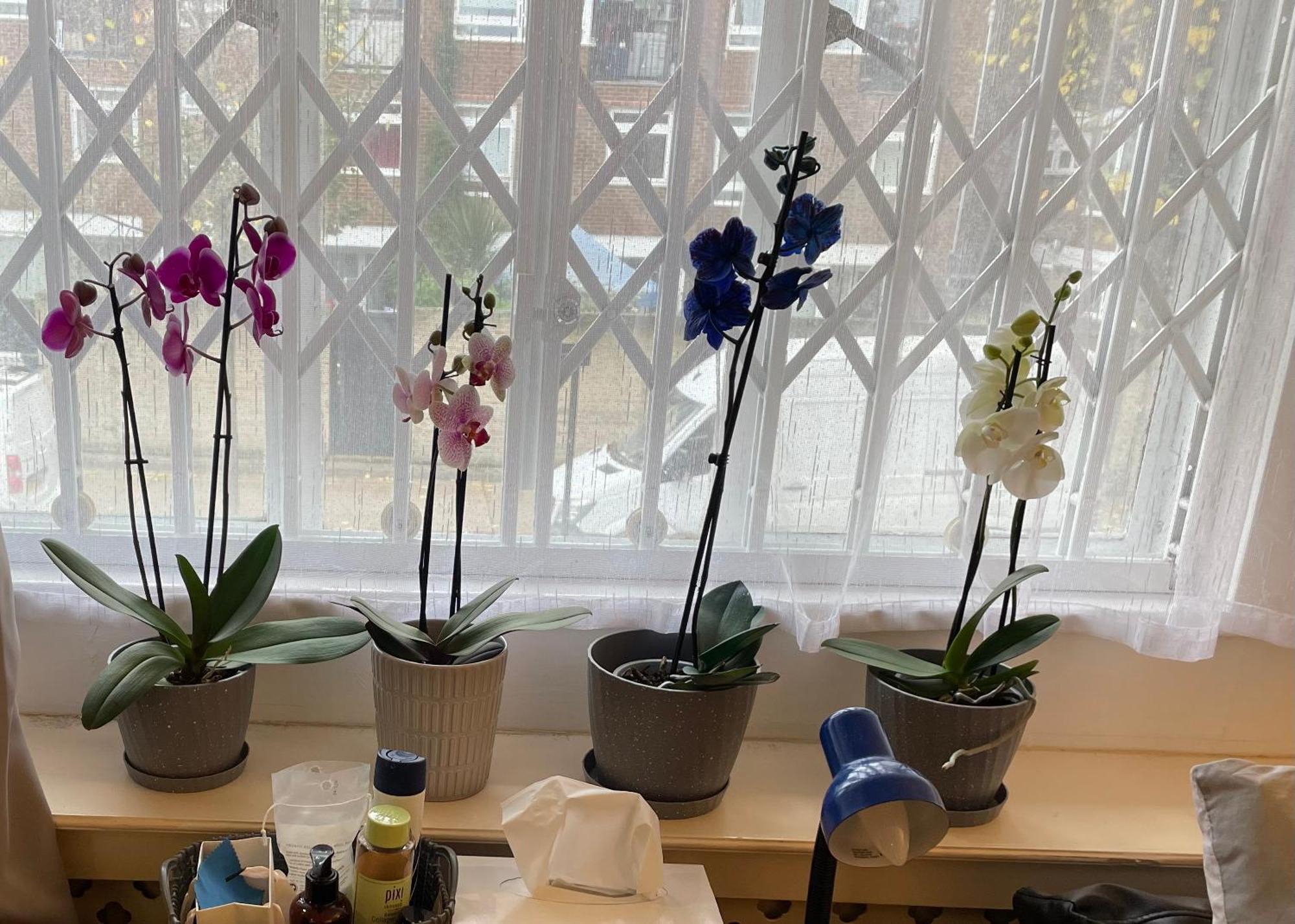 לונדון Rooms In Shared House In Kensington מראה חיצוני תמונה